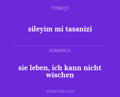 sie leben, ich kann nicht wischen - sileyim mi tasanizi