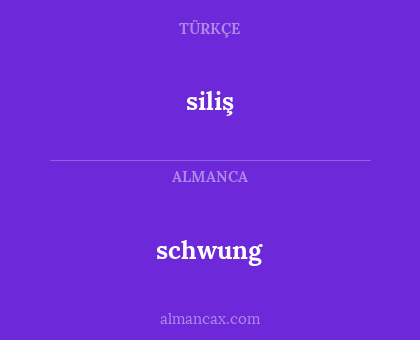 schwung - siliş
