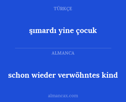 schon wieder verwöhntes kind - şımardı yine çocuk