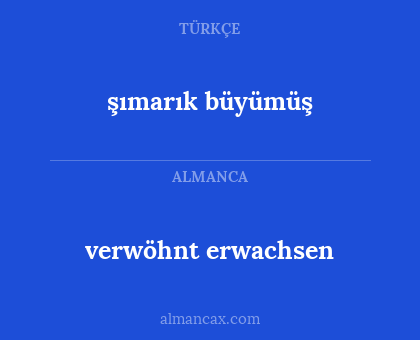 verwöhnt erwachsen - şımarık büyümüş