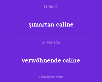 verwöhnende caline - şımartan caline