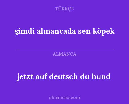 şimdi almancada sen köpek - jetzt auf deutsch du hund