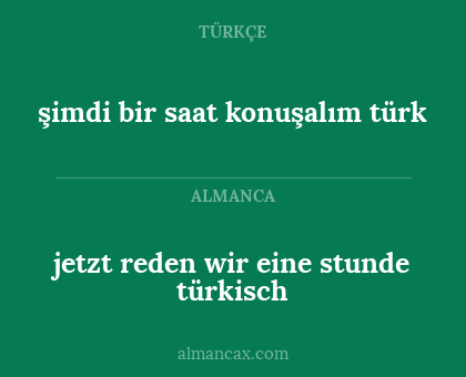 jetzt reden wir eine stunde türkisch - şimdi bir saat konuşalım türk