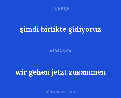 wir gehen jetzt zusammen - şimdi birlikte gidiyoruz