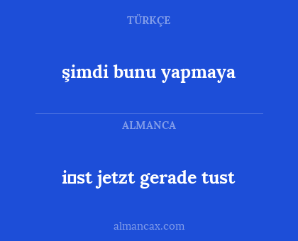 şimdi bunu yapmaya - i̇st jetzt gerade tust