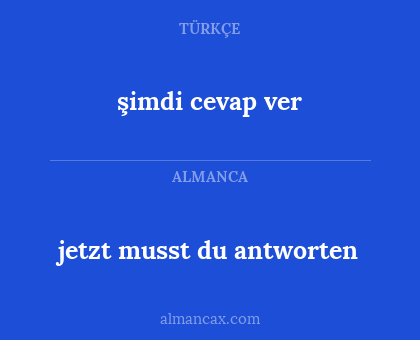 şimdi cevap ver - jetzt musst du antworten
