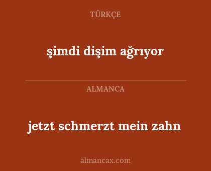 şimdi dişim ağrıyor - jetzt schmerzt mein zahn