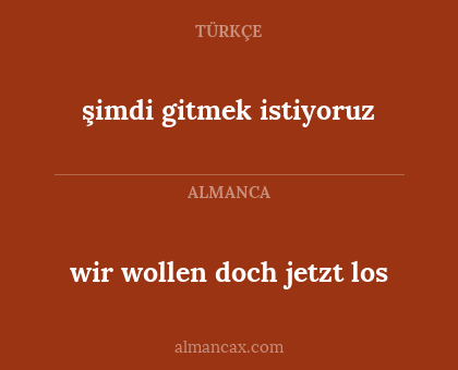 wir wollen doch jetzt los - şimdi gitmek istiyoruz
