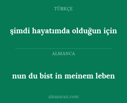 nun du bist in meinem leben - şimdi hayatımda olduğun için