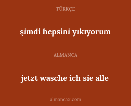 jetzt wasche ich sie alle - şimdi hepsini yıkıyorum