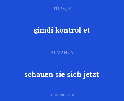 şimdi kontrol et - schauen sie sich jetzt