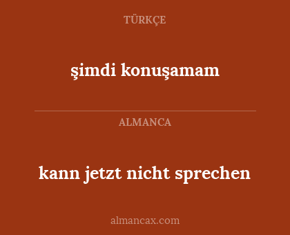 şimdi konuşamam - kann jetzt nicht sprechen