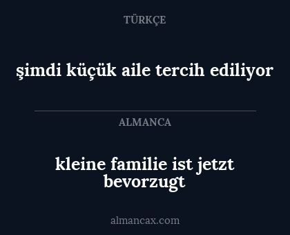 kleine familie ist jetzt bevorzugt - şimdi küçük aile tercih ediliyor