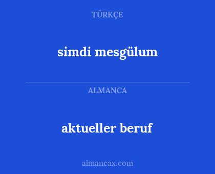 simdi mesgülum - aktueller beruf