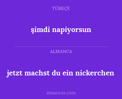 şimdi napiyorsun - jetzt machst du ein nickerchen