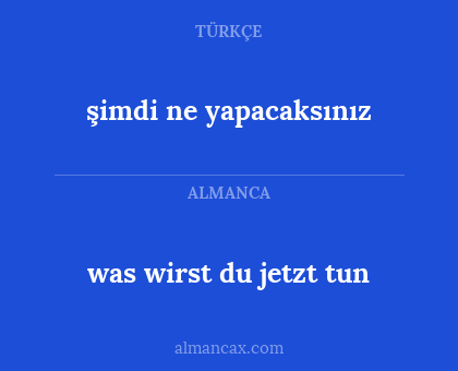 was wirst du jetzt tun - şimdi ne yapacaksınız