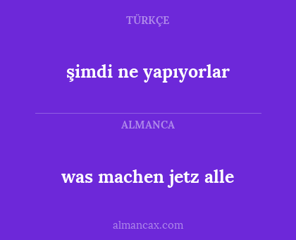 şimdi ne yapıyorlar - was machen jetz alle