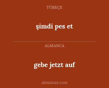 gebe jetzt auf - şimdi pes et