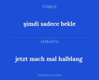 şimdi sadece bekle - jetzt mach mal halblang