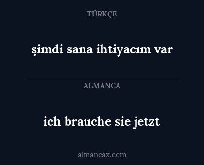 ich brauche sie jetzt - şimdi sana ihtiyacım var