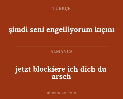 şimdi seni engelliyorum kıçını - jetzt blockiere ich dich du arsch