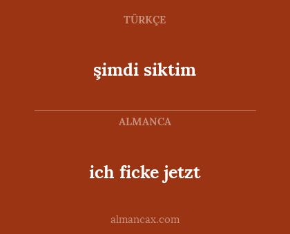 ich ficke jetzt - şimdi siktim