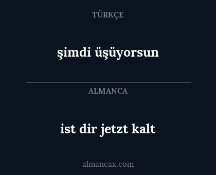 şimdi üşüyorsun - ist dir jetzt kalt