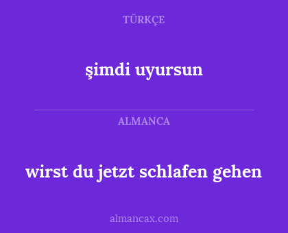 şimdi uyursun - wirst du jetzt schlafen gehen