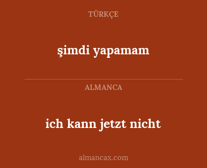 şimdi yapamam - ich kann jetzt nicht