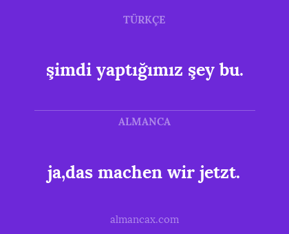 ja,das machen wir jetzt. - şimdi yaptığımız şey bu.