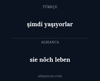 şimdi yaşıyorlar - sie nöch leben