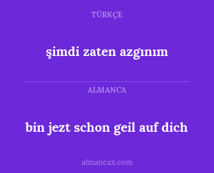 şimdi zaten azgınım - bin jezt schon geil auf dich