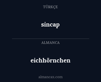 eichhörnchen - sincap