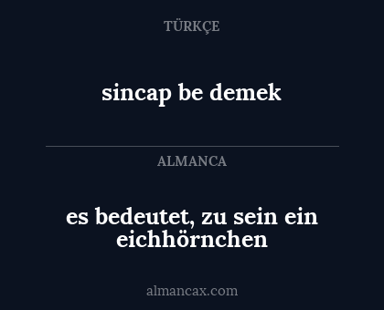 sincap be demek - es bedeutet, zu sein ein eichhörnchen