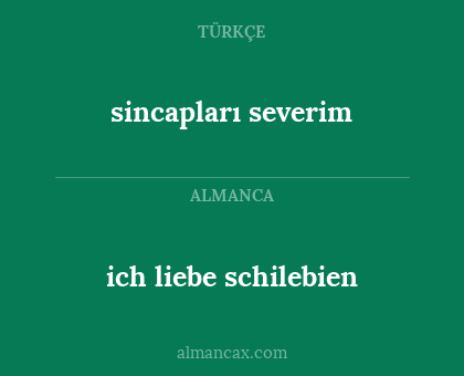 sincapları severim - ich liebe schilebien