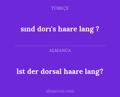 lst der dorsal haare lang? - sınd dorı's haare lang ?