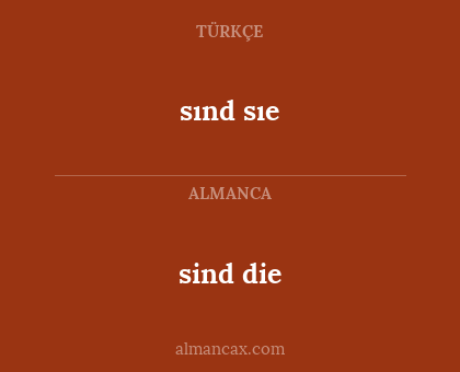 sind die - sınd sıe