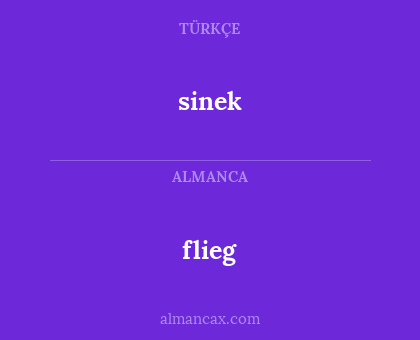 flieg - sinek
