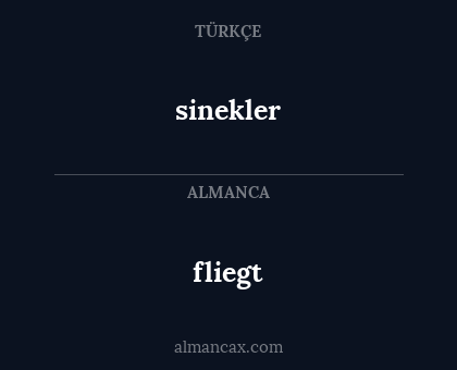 fliegt - sinekler