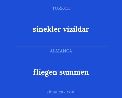 fliegen summen - sinekler vizildar