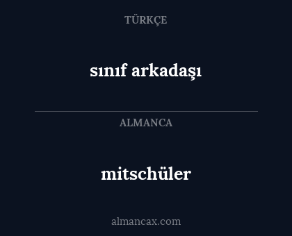 mitschüler - sınıf arkadaşı