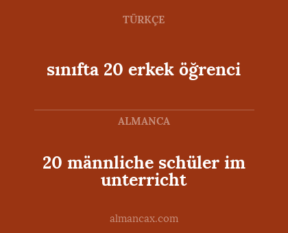 20 männliche schüler im unterricht - sınıfta 20 erkek öğrenci