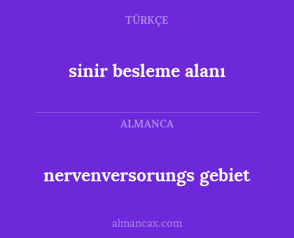 nervenversorungs gebiet - sinir besleme alanı