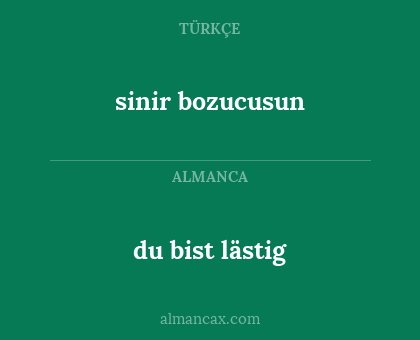 du bist lästig - sinir bozucusun