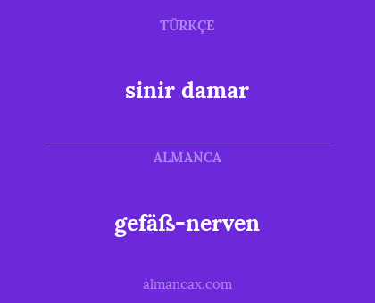 gefäß-nerven - sinir damar