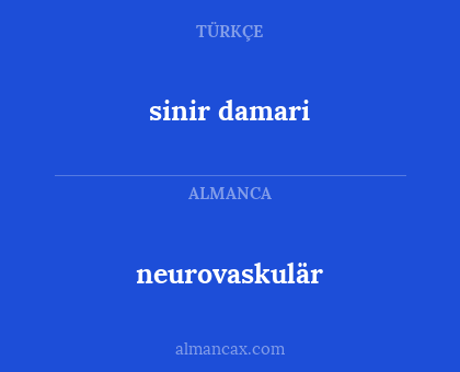 neurovaskulär - sinir damari