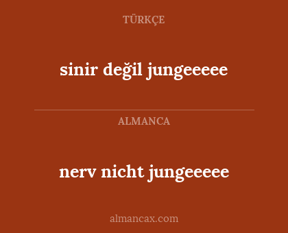 sinir değil jungeeeee - nerv nicht jungeeeee