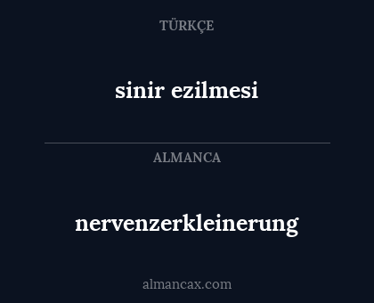 sinir ezilmesi - nervenzerkleinerung