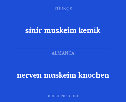 nerven muskeim knochen - sinir muskeim kemik
