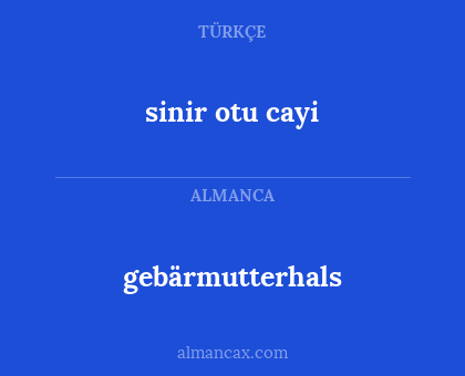 gebärmutterhals - sinir otu cayi
